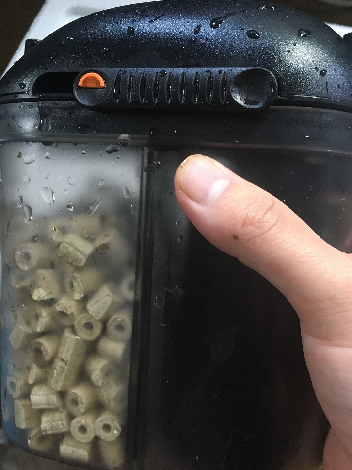 36cm水槽にちょうどいい外部フィルター！スドーのエデニックシェルトV3