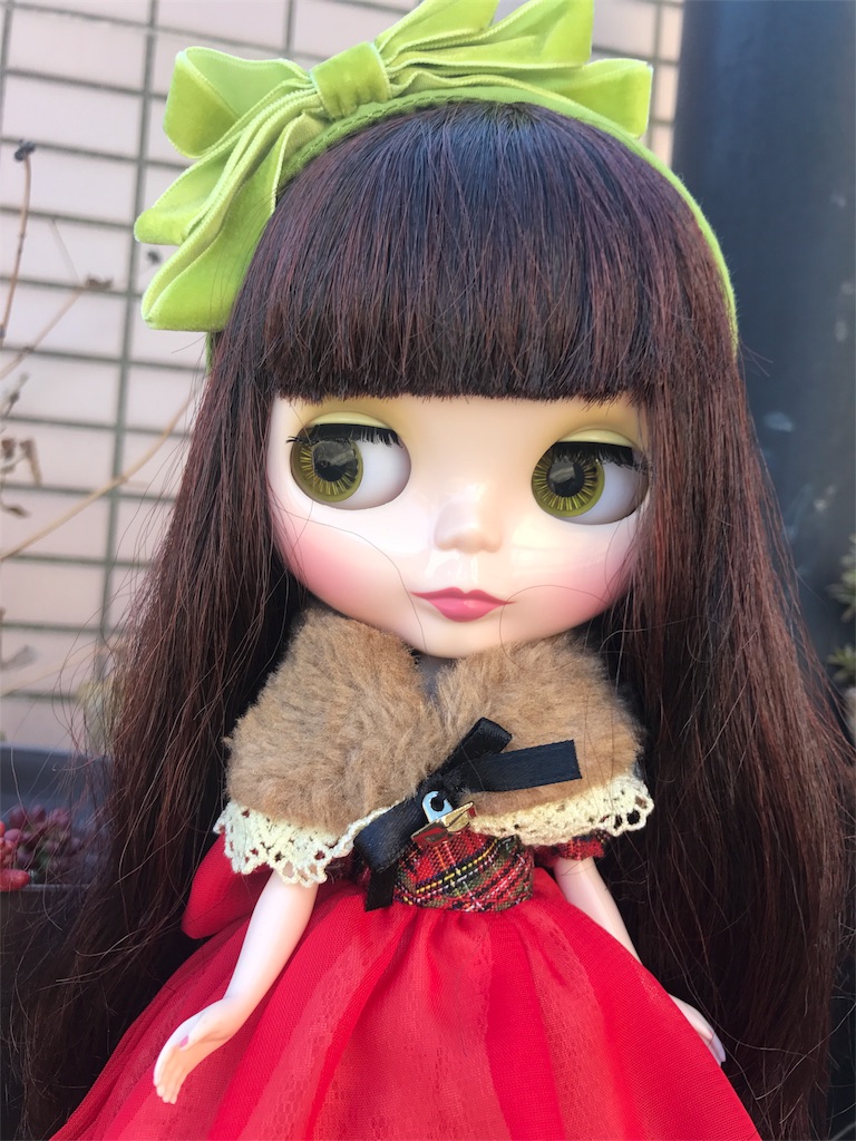 ブライス、レッドデリシャスの紹介と気になるネット価格は - ブライス