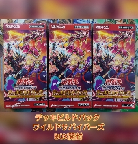 デッキビルドパック ワイルドサバイバーズ】開封結果・封入率を紹介