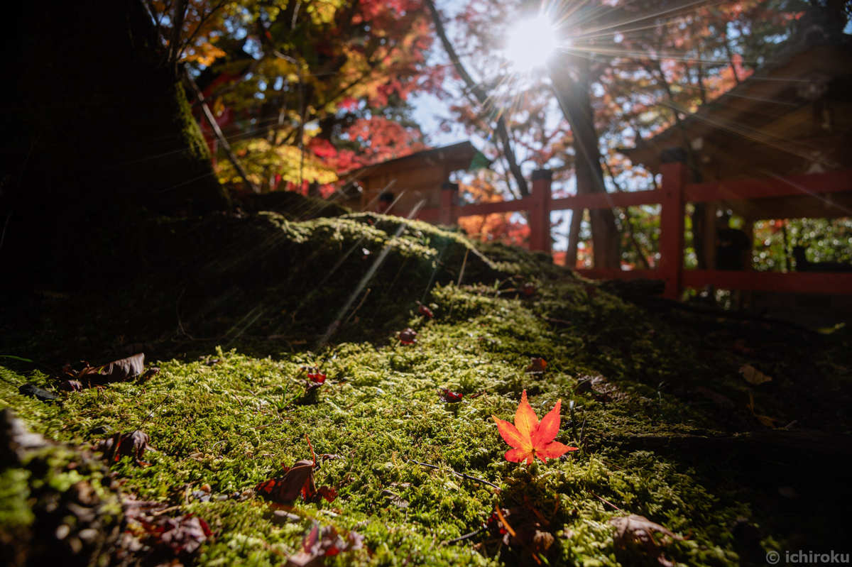 ⭐️風景写真にオススメ⭐️広角レンズ⭐️Canon EF 20-35mm USM