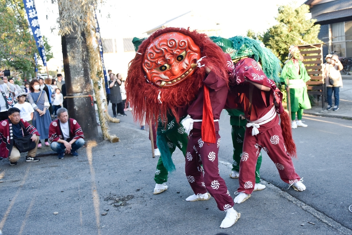 顔が平たい獅子舞の謎に迫る、佐賀県獅子舞巡り。唐津くんち、丹生神社