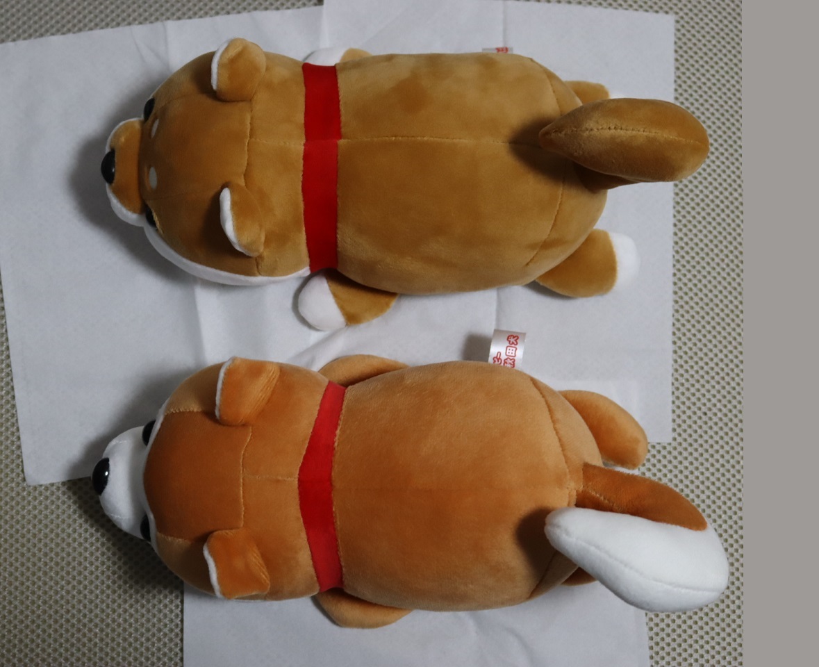 ㈱CUTE ハッピー豆柴くじ・ハッピー秋田犬くじ - ぬいぐるみくじ発見紀