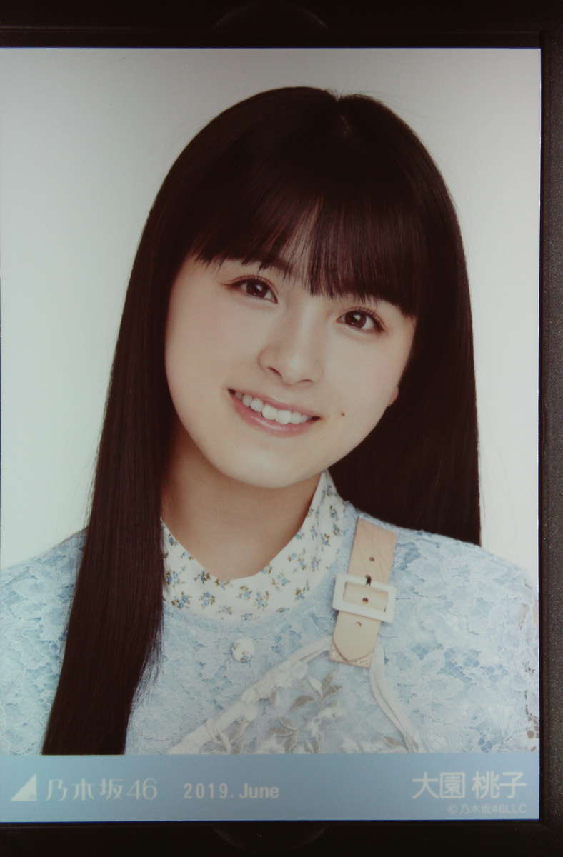 乃木坂46 大園桃子さんの生写真を管理するために買ったもの - ももさい