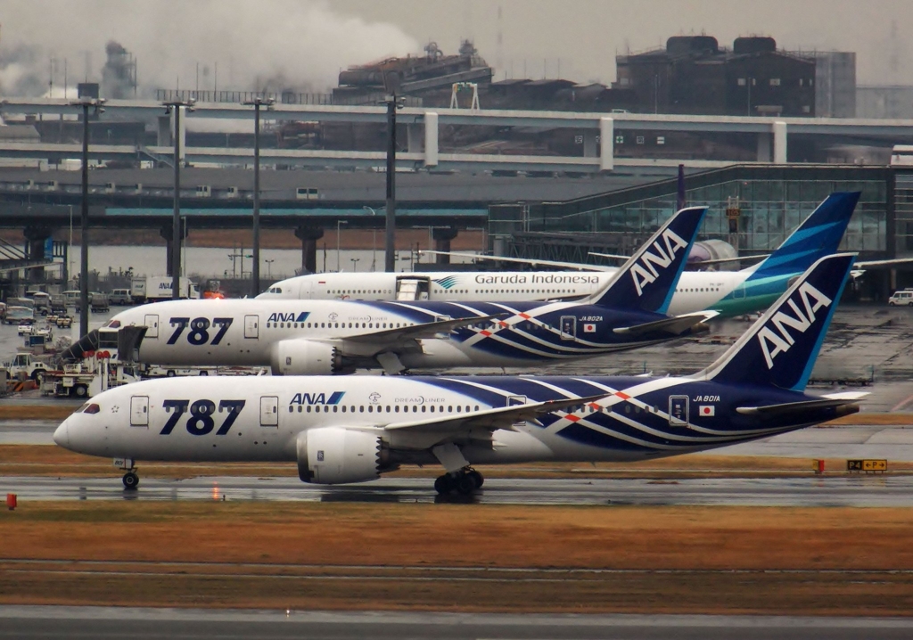 全日空商事 1/200 ANA B787-8 特別塗装 NH20051 木製台座 全日空商事 1/200