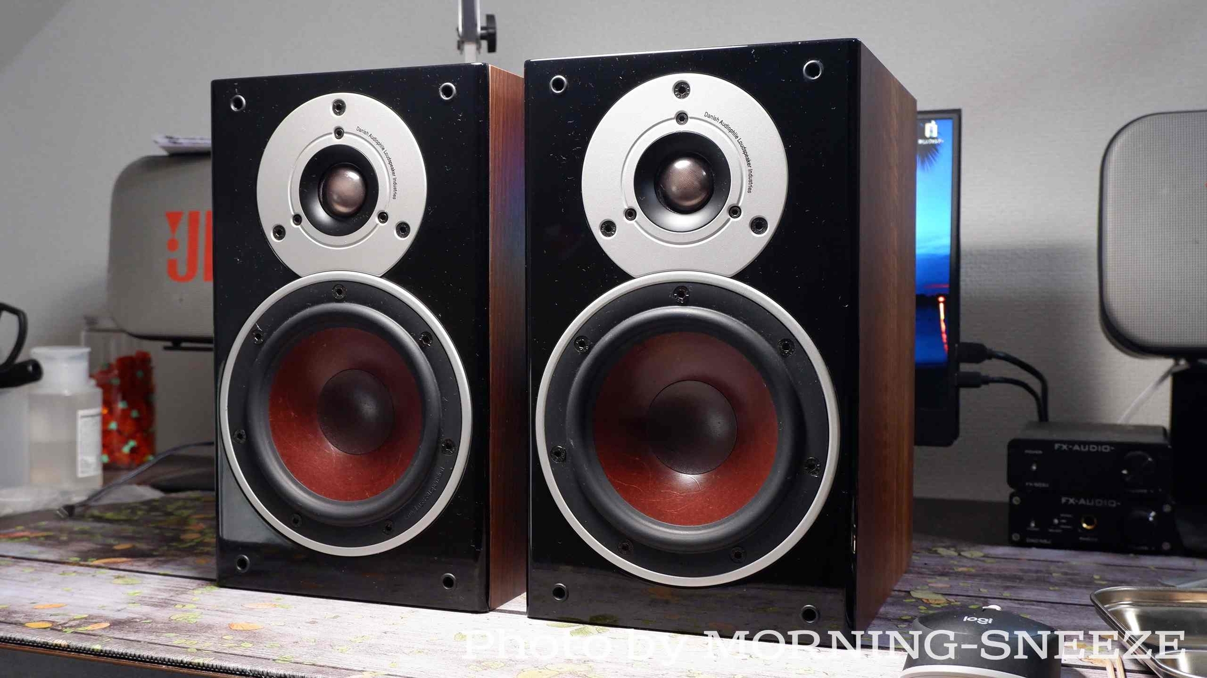 DALI ZENSOR 1 をメンテナンスする - いつか消える文章