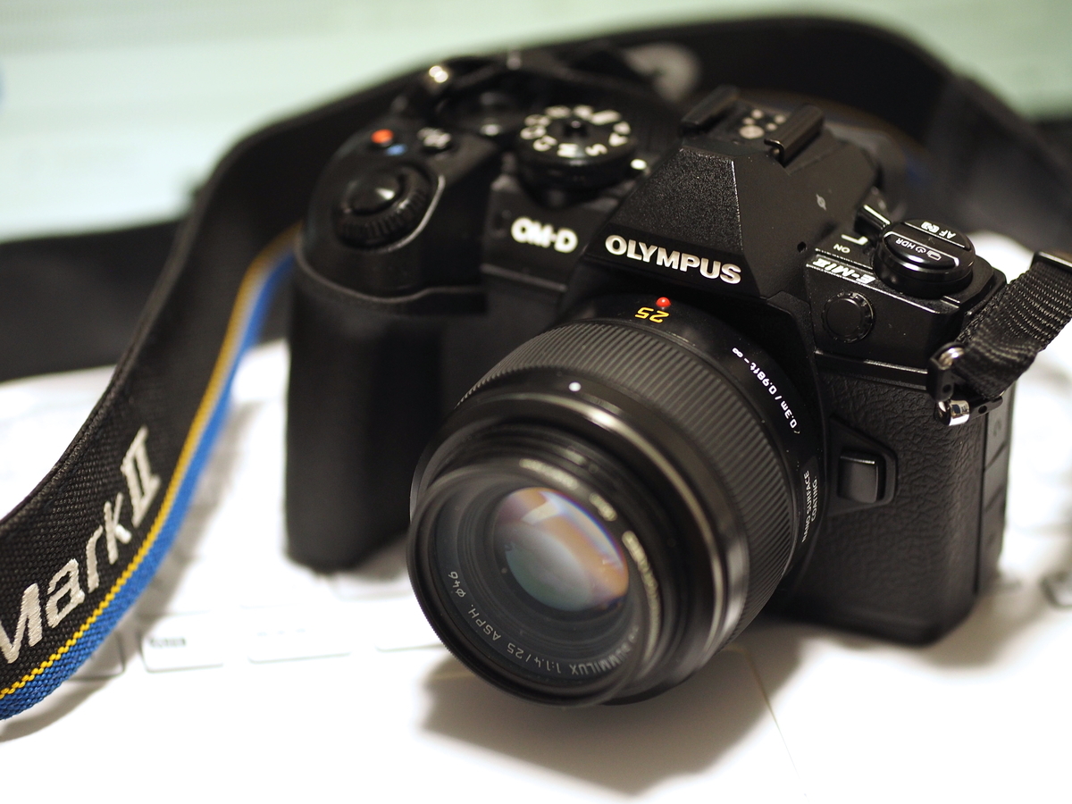 ライカ LEICA DG SUMMILUX 25mm F1.4 ASPH パナソニック ライカ DG