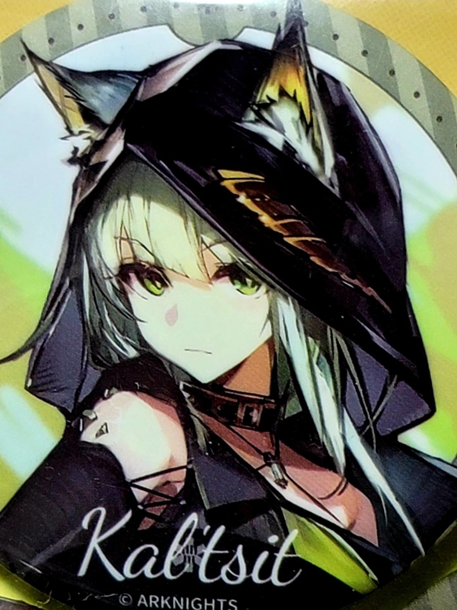 明日方舟 アークナイツ 人物ファイル 缶バッジ ケルシー 明日方舟