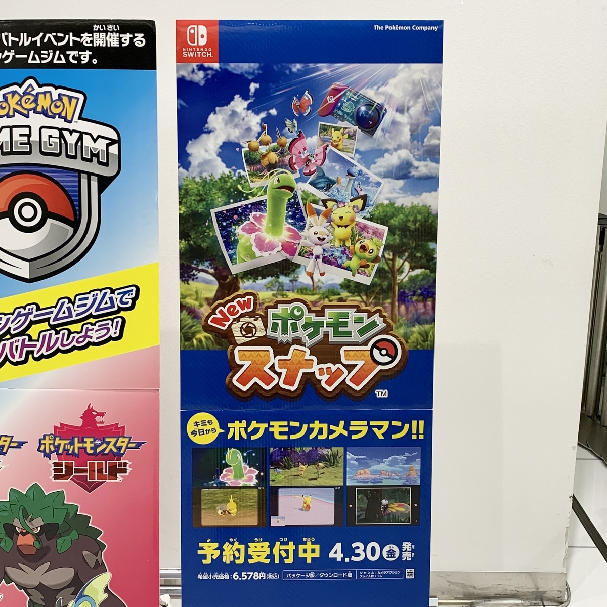 予約開始「New ポケモンスナップ」リーフレット - ポケモンセンター
