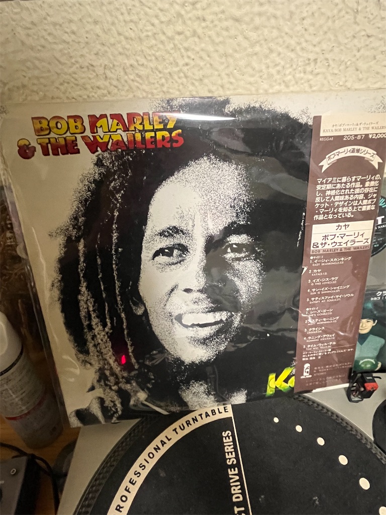 最近買ったレゲエのレコード - 洋楽好きの独り言