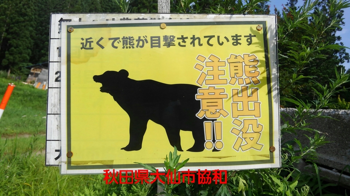 熊注意 - スカベンジャーの標本部屋