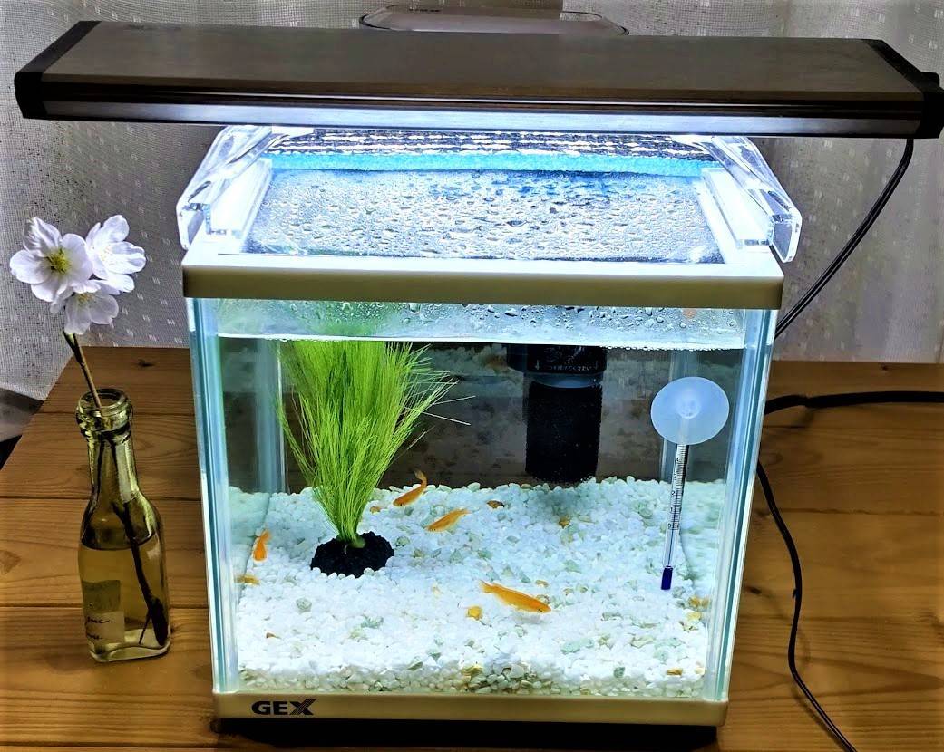 GEX クリアLED POWER III 450 水槽20点セット ジェックス クリアLED