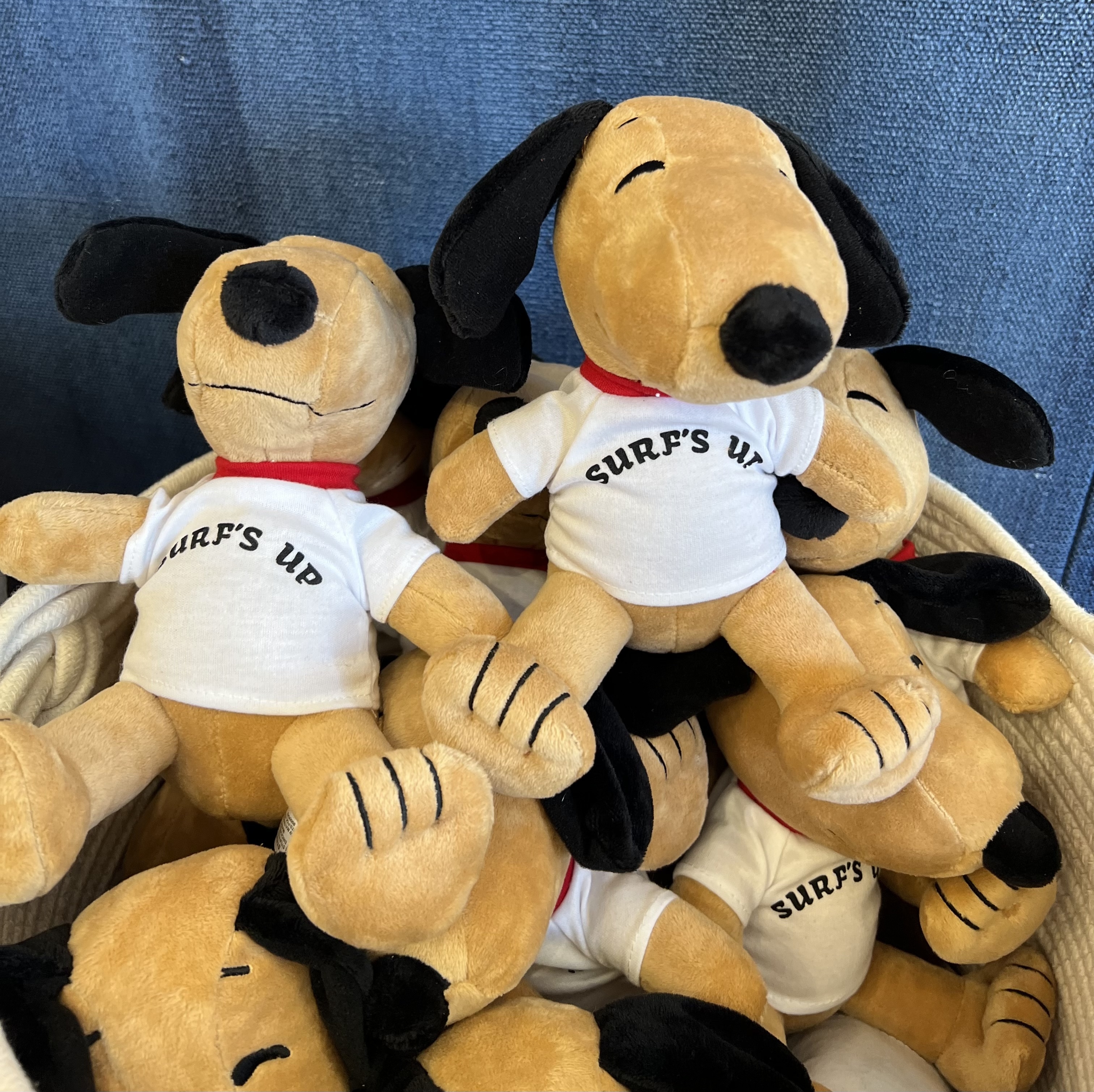 日焼けスヌーピー ぬいぐるみ（大）SURF'S UP Tシャツ / ハワイ