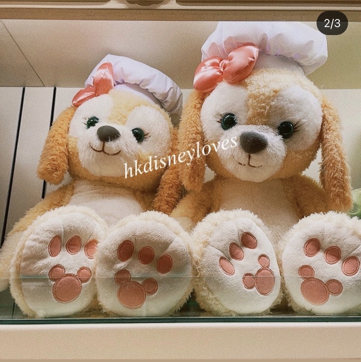 お顔厳選】香港ディズニー 春限定シリーズクッキーアンぬいぐるみSS