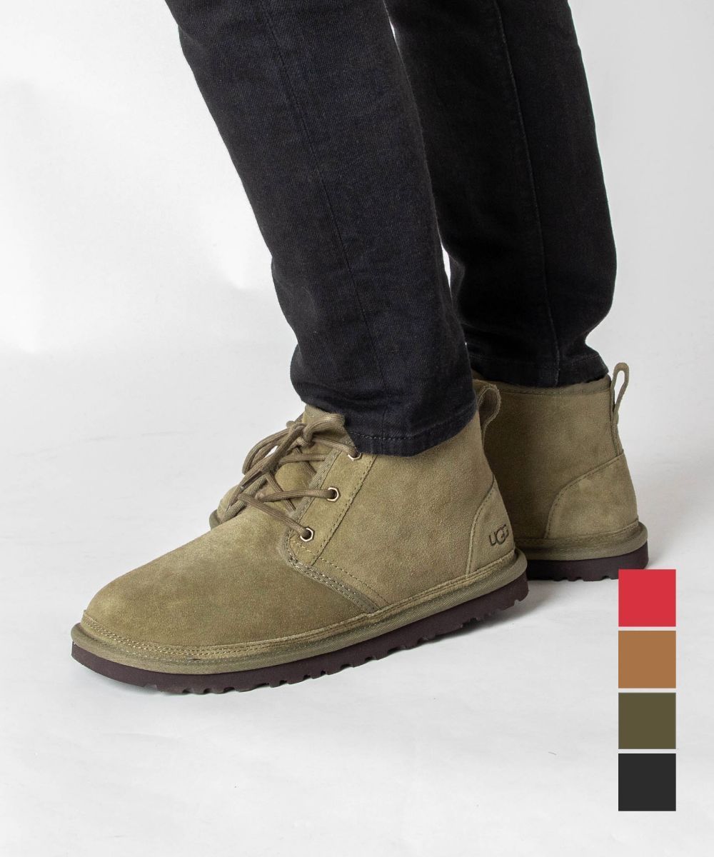 直筆サイン入り写真 マーク・ガソル トロントラプターズ SA鑑定済 直筆