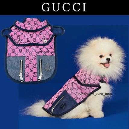 GUCCI(グッチ) ペット(犬猫)服(ライフスタイル) - ブランド通販のBUYMA