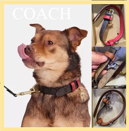 レッド（赤）系 Coach(コーチ) 首輪・ハーネス・リード(ライフスタイル