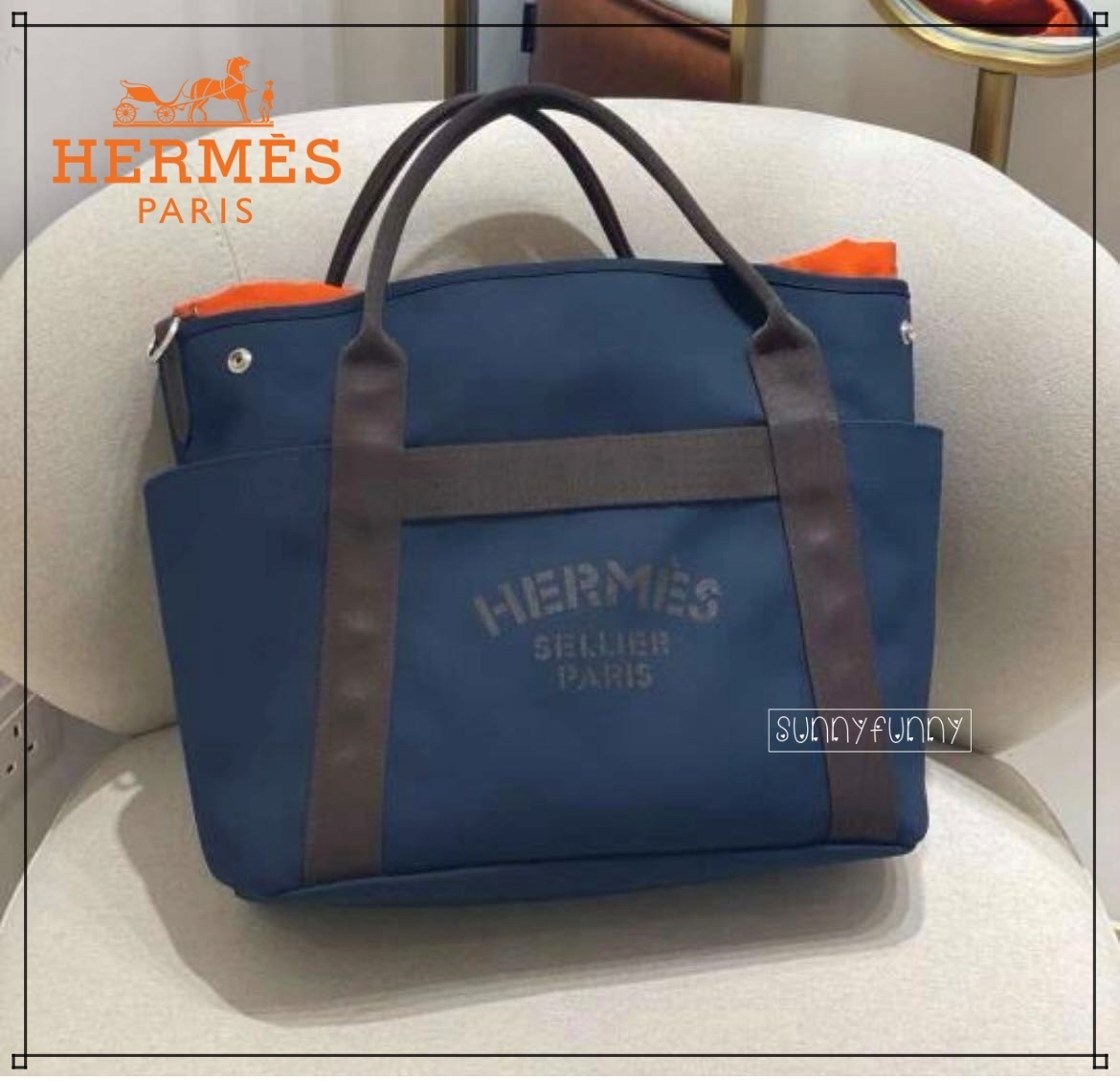 Glass Beetleミヤマクワガタ標本 GB-003】