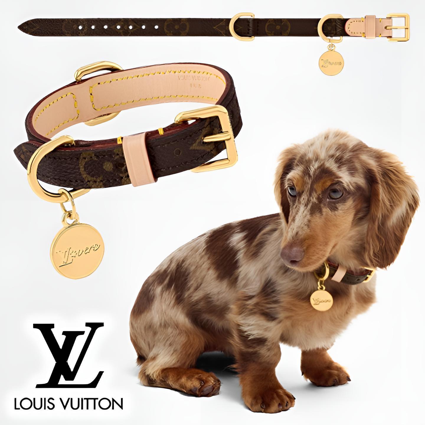 ルイ・ヴィトン犬用首輪 【公式通販】