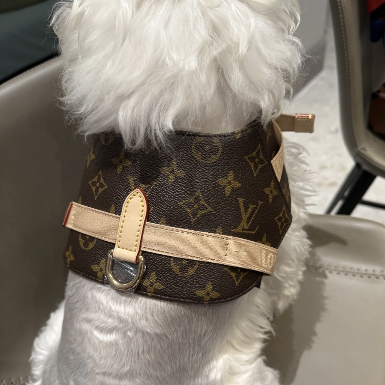 愛犬のお洒落も欠かさない！】ルイヴィトン ハーネス お散歩 (Louis