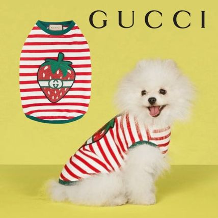 グッチ GUCCI 犬用ウェア Mサイズ 新品未使用 G レッド ブルー グッチ