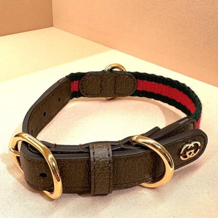 GUCCI(グッチ) 首輪・ハーネス・リード(ライフスタイル) - ブランド
