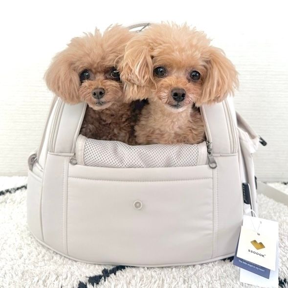 ssoook フロントバック Lサイズ アイスパック付き SSOOOK フロント