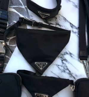 日本未入荷【PRADA】ナイロンドッグカラー☆ (PRADA/首輪・ハーネス
