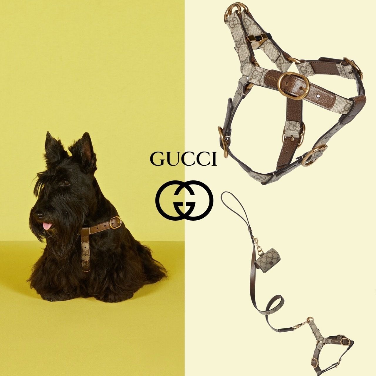 正規店購入☆新品 未使用 Gucci オメトリックG ペット ハーネス 正規店