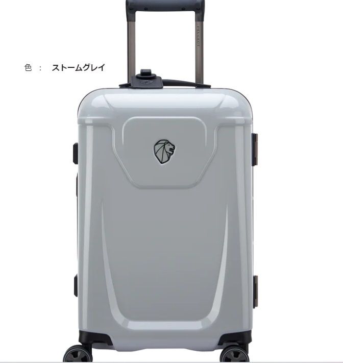 プジョー×DELSEY☆PEUGEOT VOYAGES 55CM (DELSEY/スーツケース