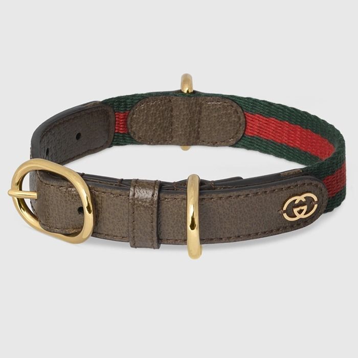 国内直営**GUCCI** スモール/ミディアム ペット カラー (GUCCI/首輪