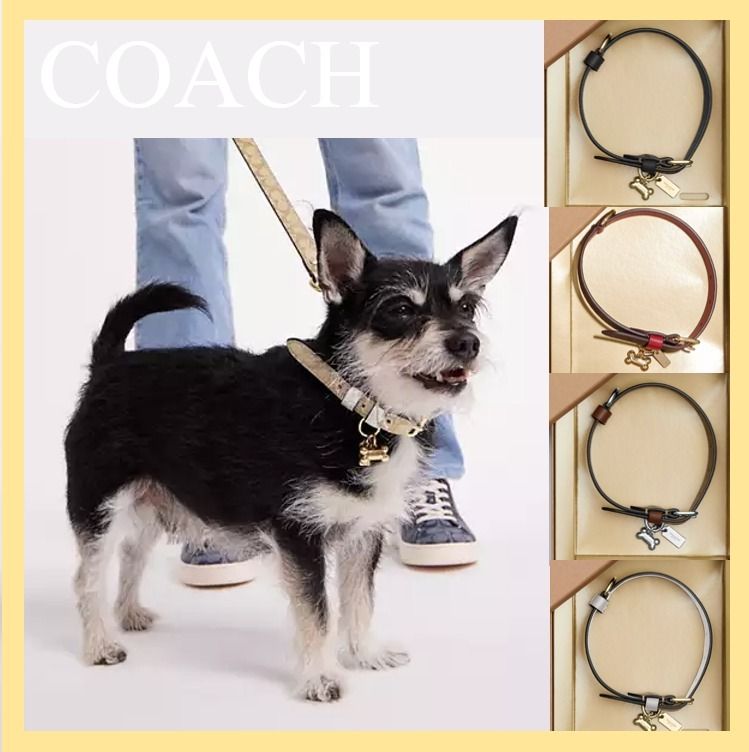 コーチ 首輪 コーチ COACH 本革 ローズピンク 犬用首輪 Lサイズ COACH 本革
