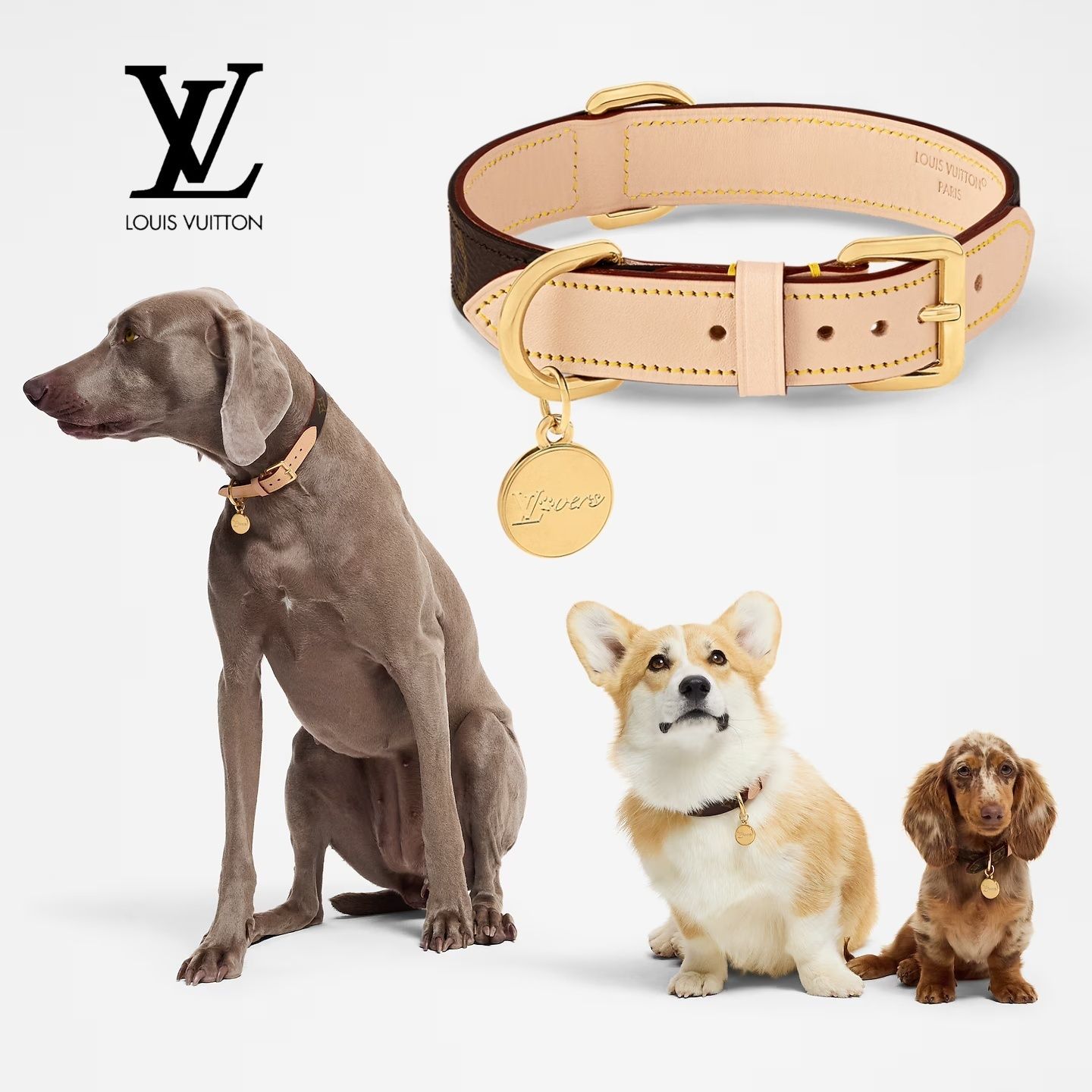 LOUIS VUITTON ルイヴィトン 犬 リード 首輪 紐 革 お散歩 ペット