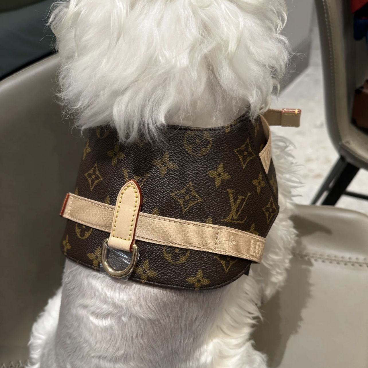 愛犬のお洒落も欠かさない！】ルイヴィトン ハーネス お散歩 (Louis