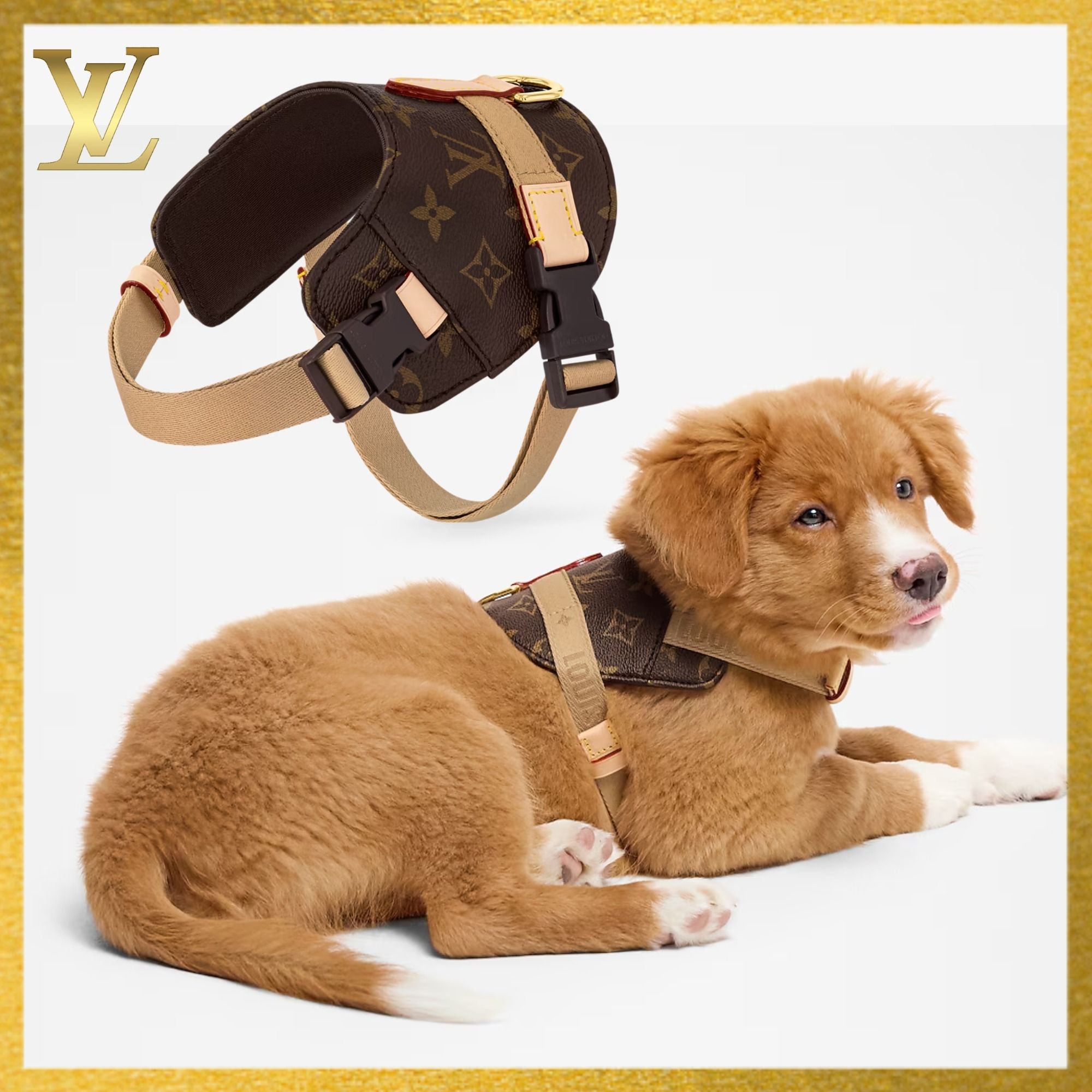 LOUIS VUITTON × MURAKAMI レザー犬用首輪 LOUIS VUITTON × MURAKAMI