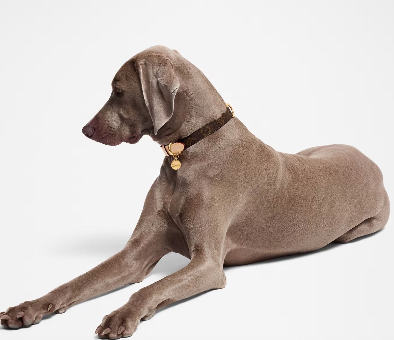 ルイヴィトン わんちゃん首輪 Lサイズ モノグラムデザイン♪ (Louis