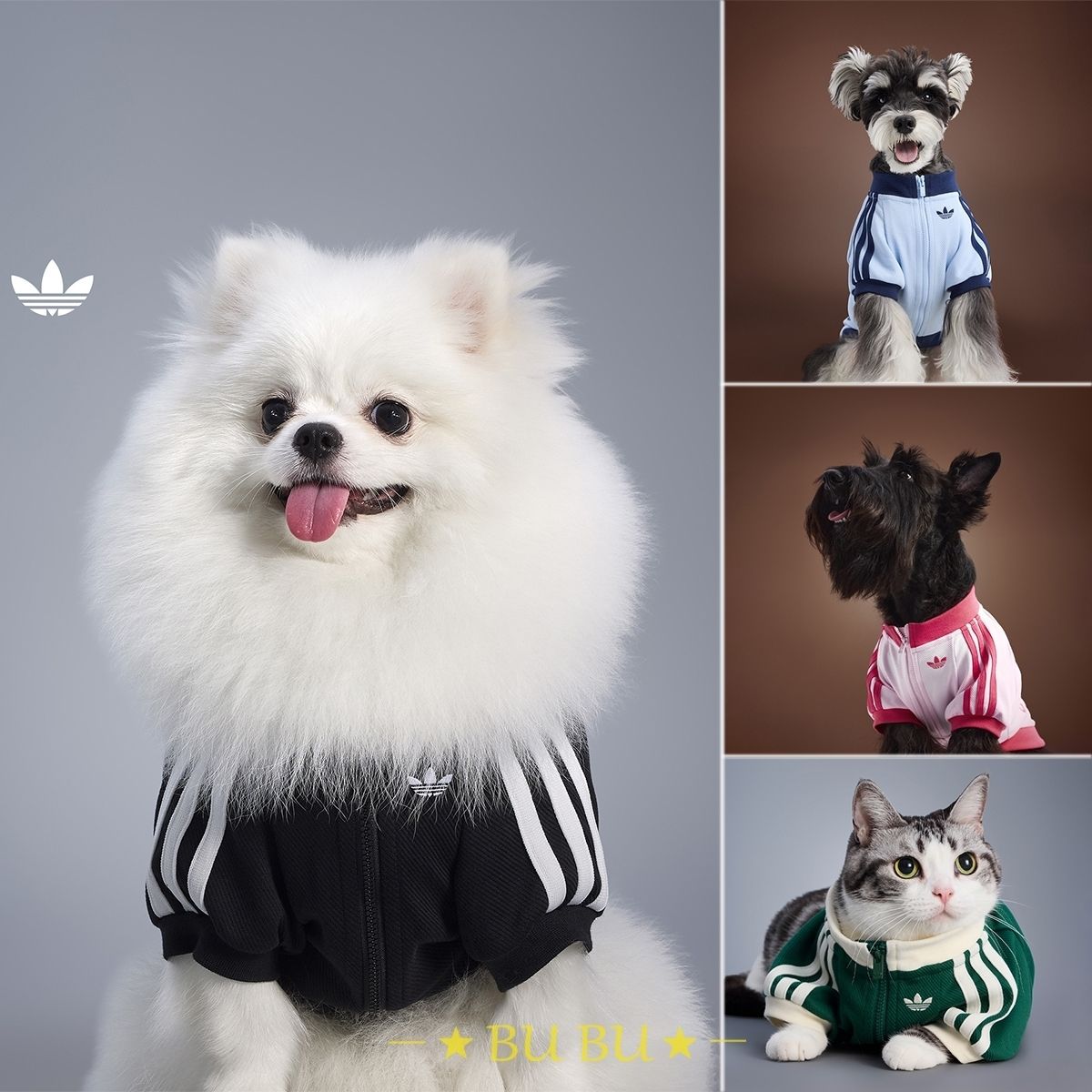 adidas ペット用 ペット服 ジップアップウェア 大人気 (adidas/ペット