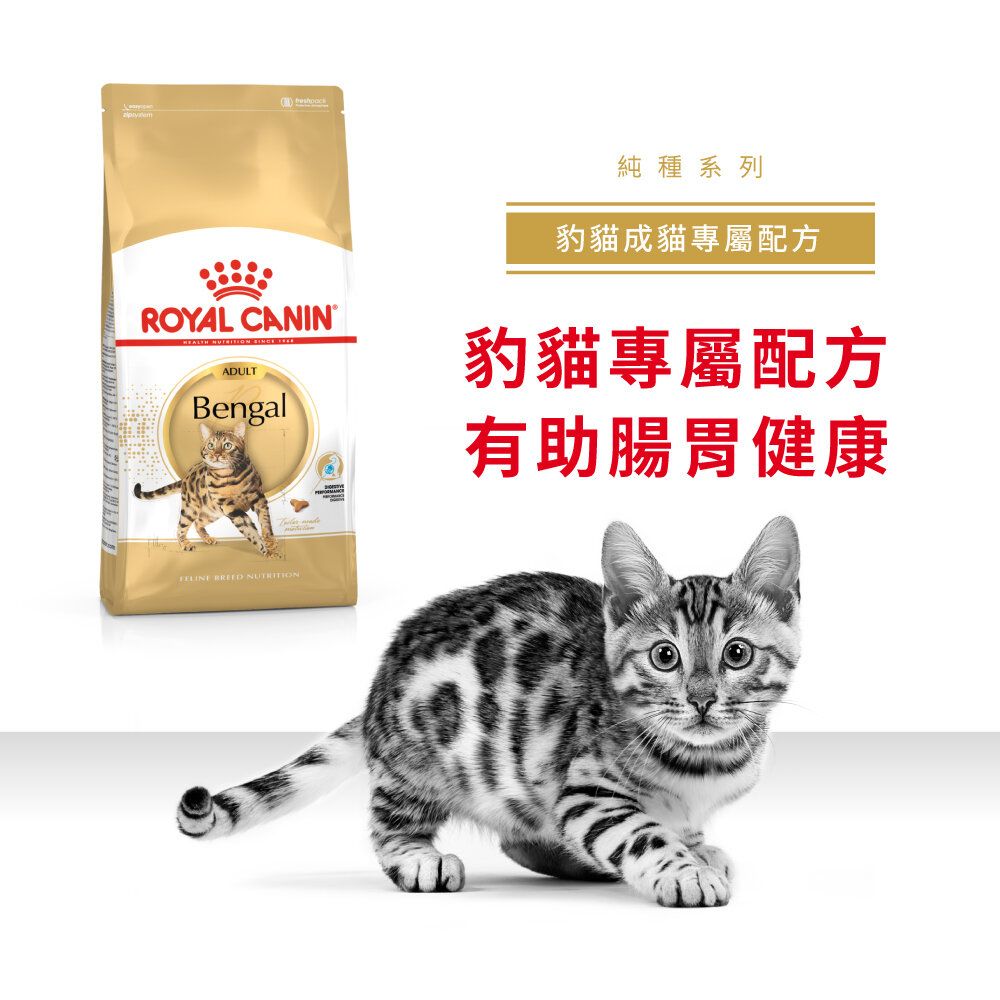 ROYAL CANIN | Bengal Adult For Cat 2KG | HKTVmall The Largest HK