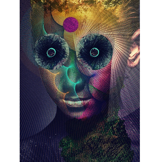 DIR EN GREY 完全生産限定版 The Insulated World Amazon.co.jp: The