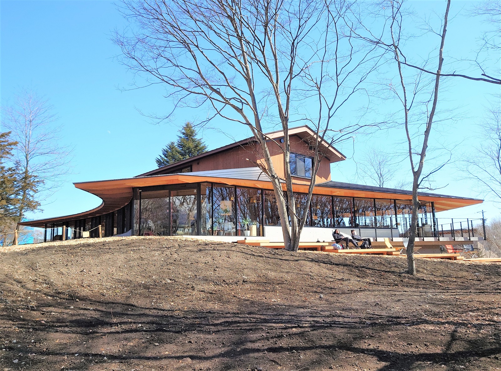 森の大屋根下にCCC「軽井沢書店」やカフェ、木造大学施設を鉄骨造で