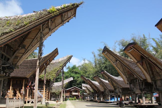 スラウェシ島 トラジャ族の穀物庫の壁板 スラウェシ トラジャ族の穀物