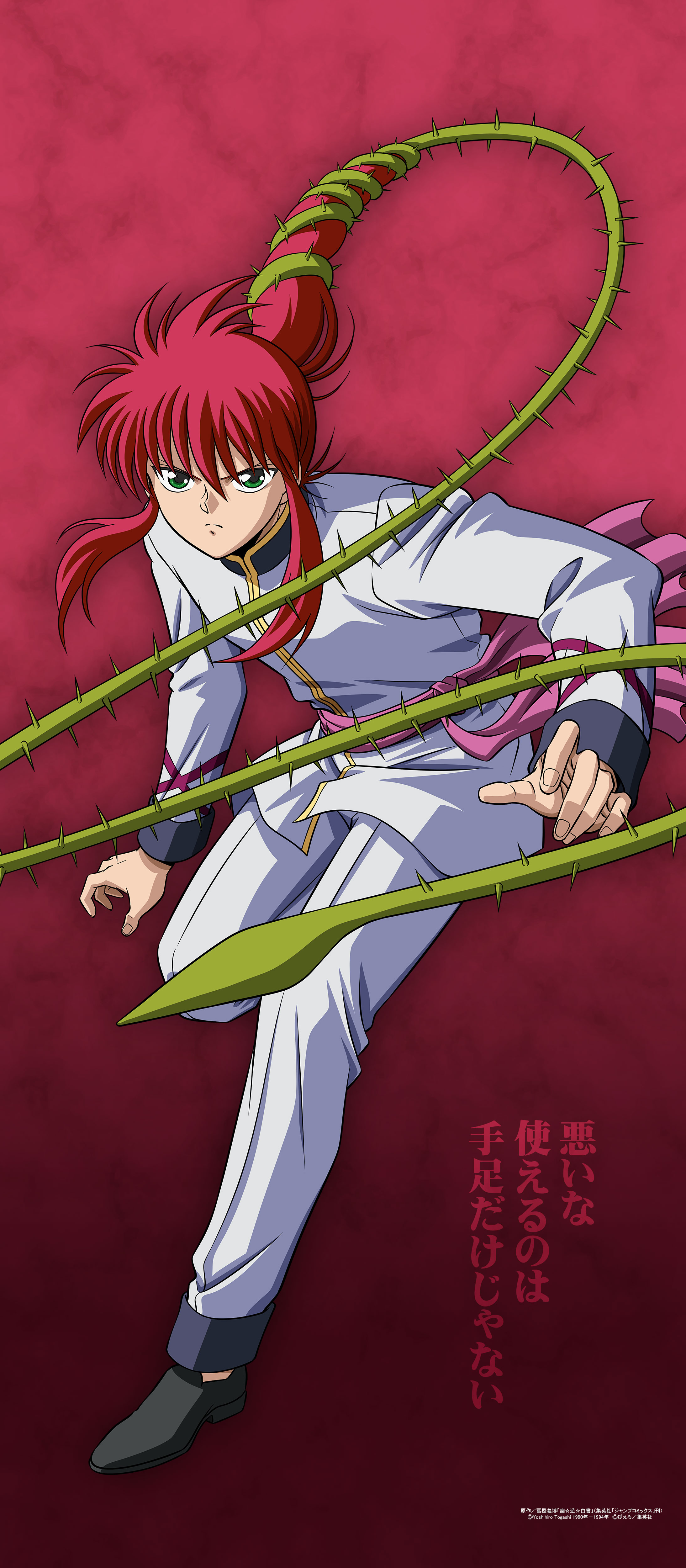 幽遊白書 蔵馬 妖狐蔵馬 複製セル セル画