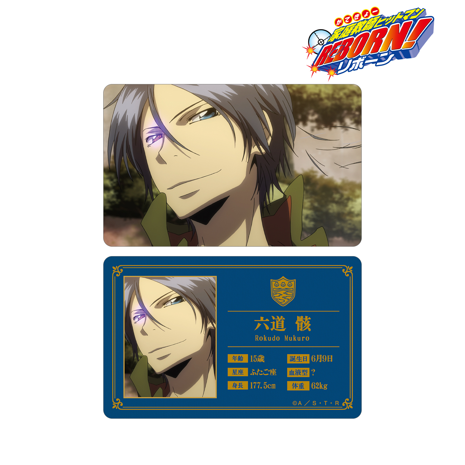 家庭教師ヒットマンREBORN! ブロマイド風カードくじ スクアーロ