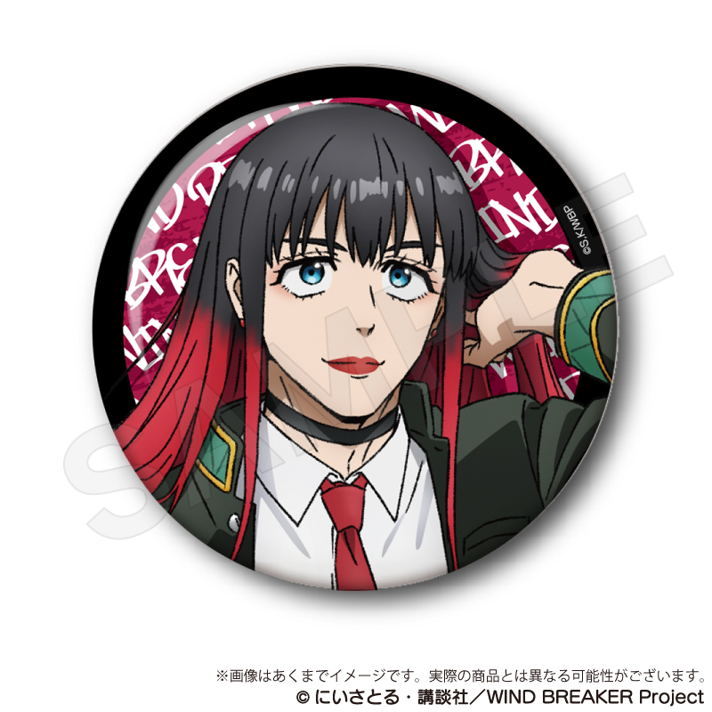 WIND BREAKER ウィンブレ ジュエリー缶バッジ 椿野佑 30点 WIND