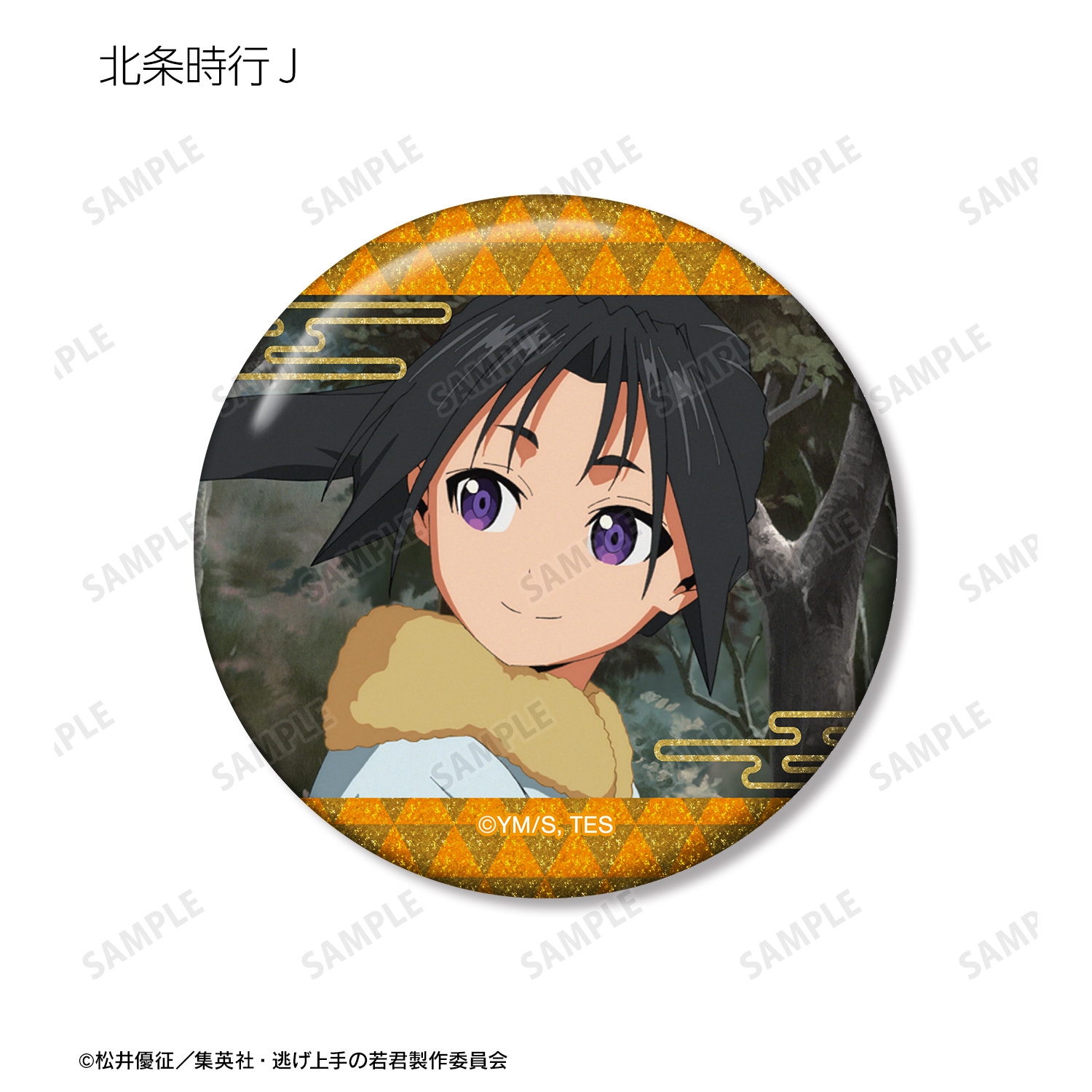 逃げ若 北条時行 メモリーズ缶バッジ40点 逃げ若 北条時行 メモリーズ