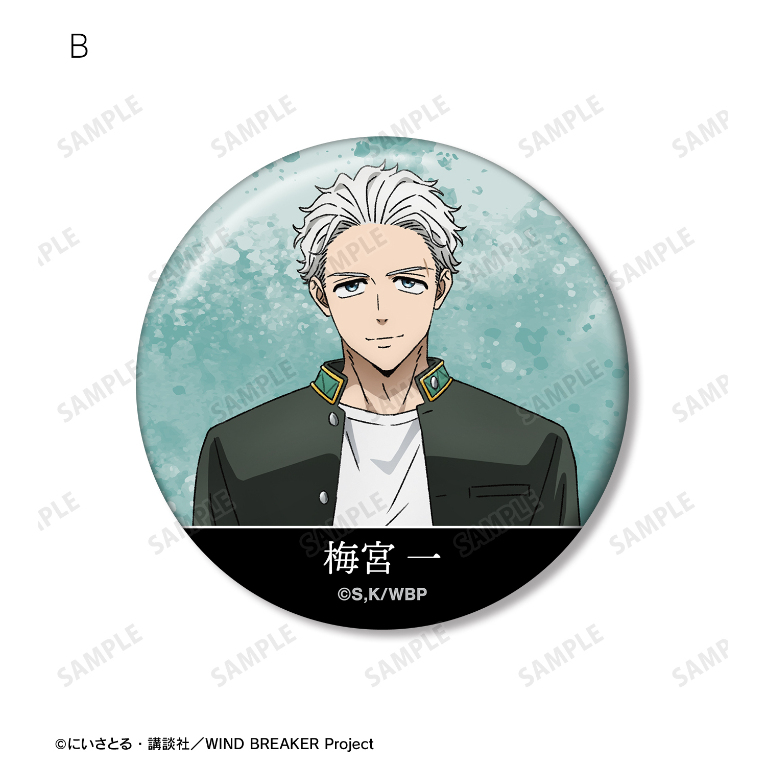 WIND.BREAKER 梅宮一 ハロウィン缶バッジ39点セット TVアニメ『WIND