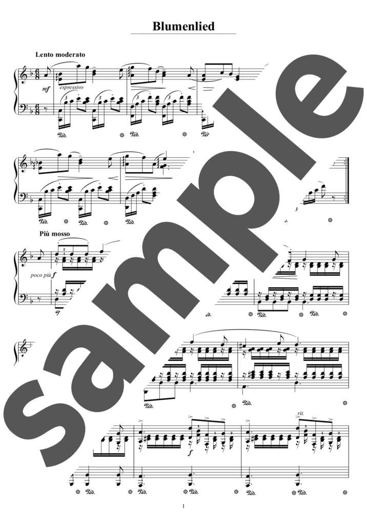 ピアノ楽譜】黒鍵のエチュード / F.Chopin（ソロ / 上級）