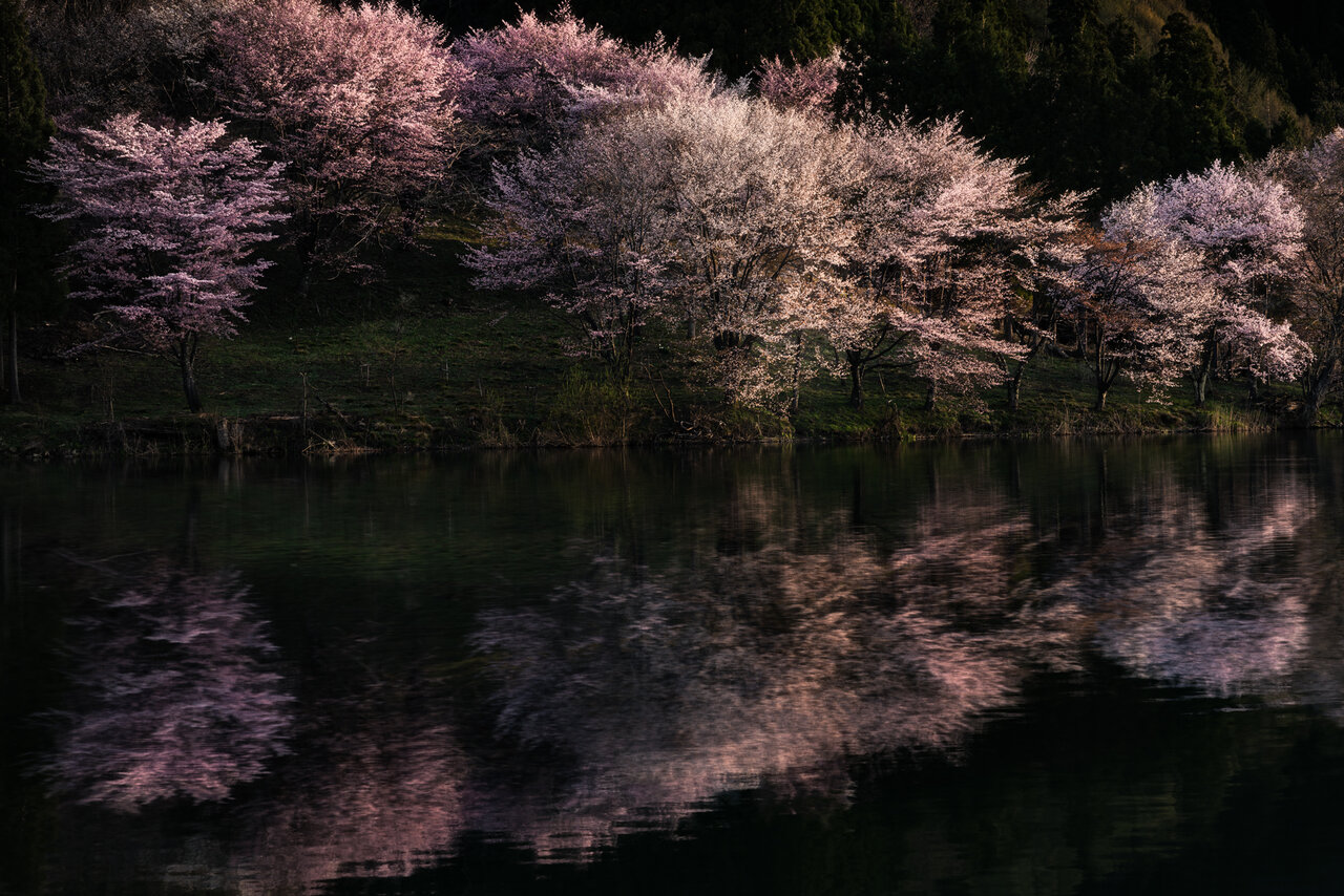 伝えたいニッポンの風景：1】齋藤朱門 | GENIC編集部 | GENIC｜ジェニック