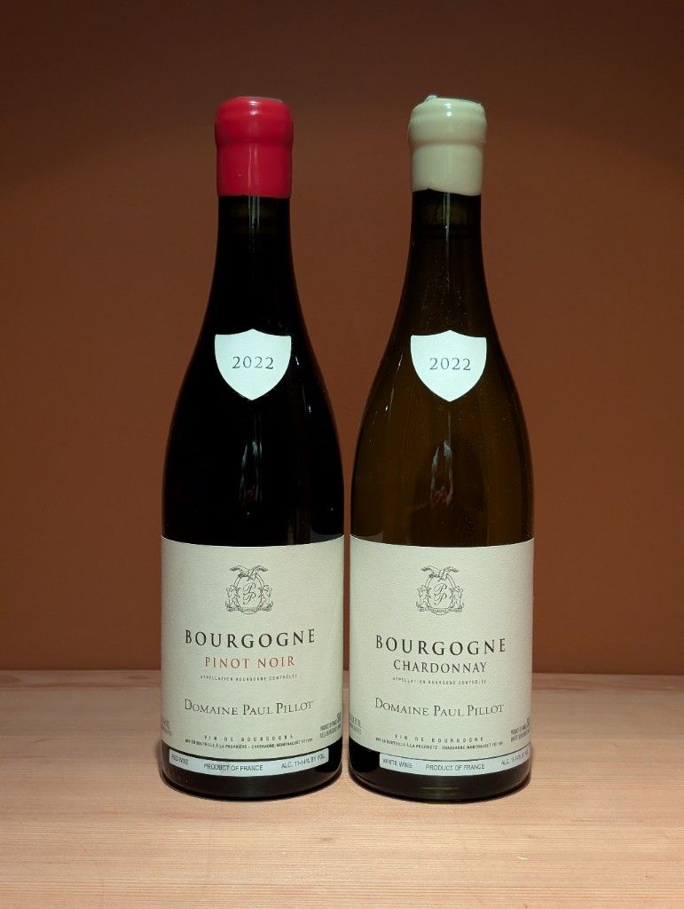 2022 Paul Pillot Bourgogne - CellarTracker