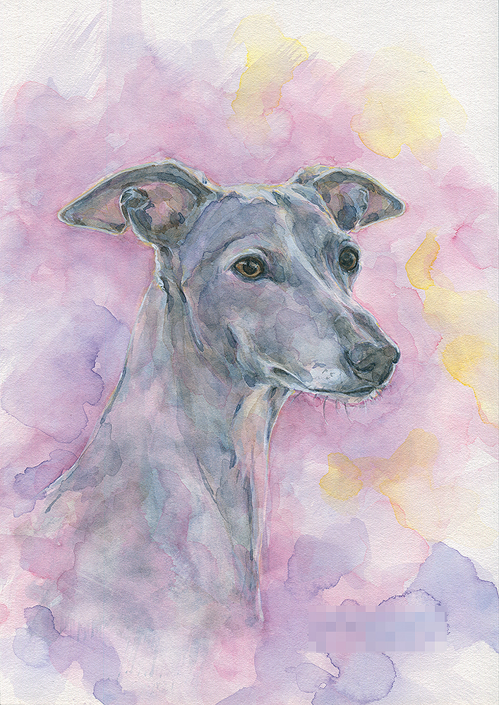 イタリアングレーハウンド クレヨン画 肖像画 犬 イタグレ 手描き
