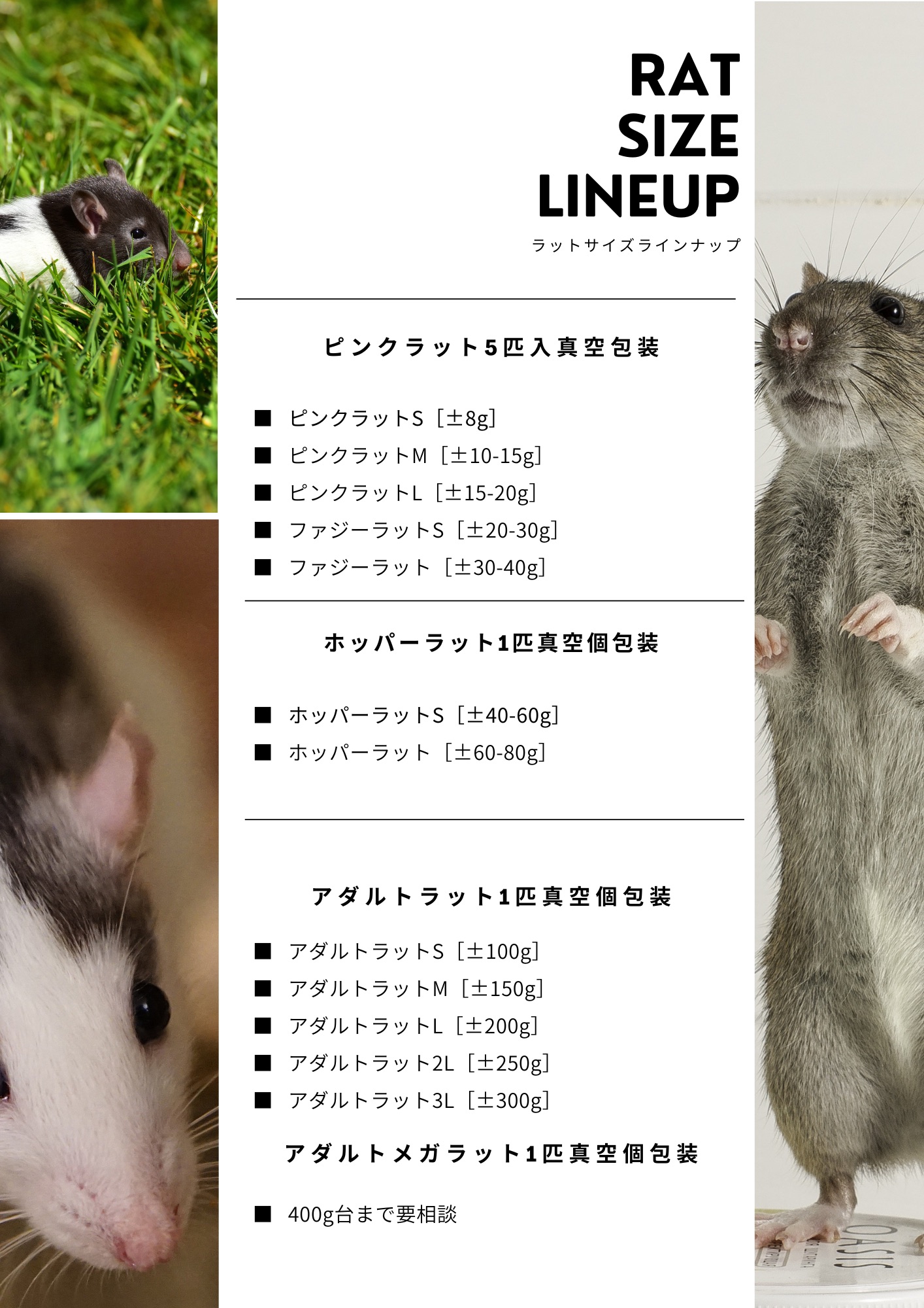 国産極上冷凍ラットセット | 国産冷凍ラット (アダルトL 冷凍国産